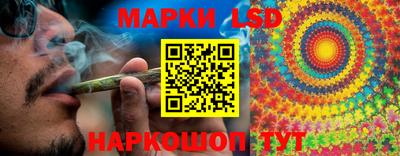 крисы Севастополь